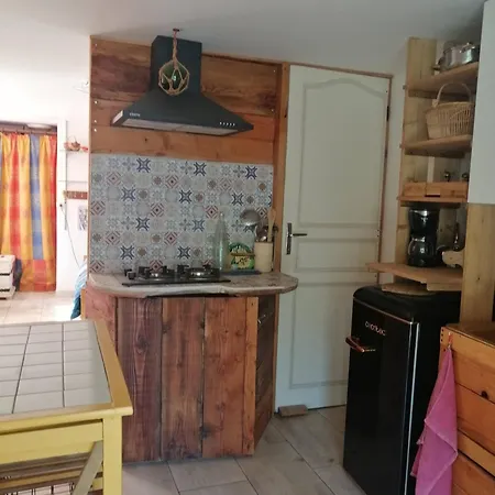 La Succulente Vivace Cambounes