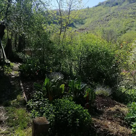 Apartment La Succulente Vivace