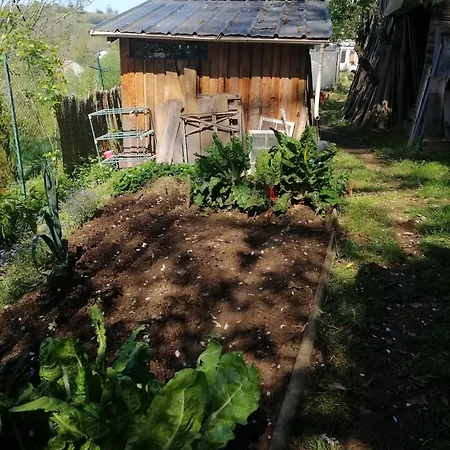 La Succulente Vivace * Cambounes