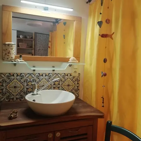 La Succulente Vivace * Cambounes