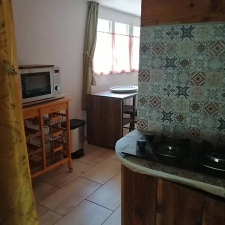 La Succulente Vivace *