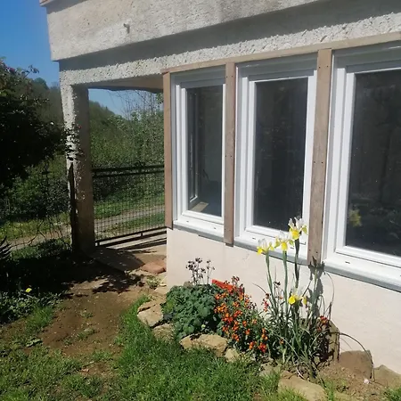 La Succulente Vivace *