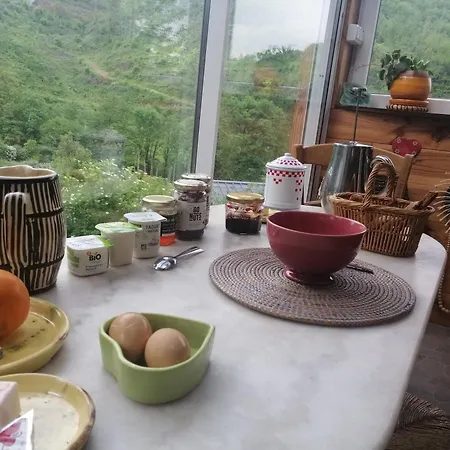 La Succulente Vivace Cambounes